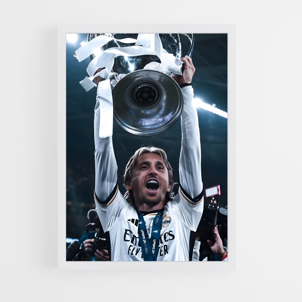 Poster Luka modric immortalisée (vue 3)